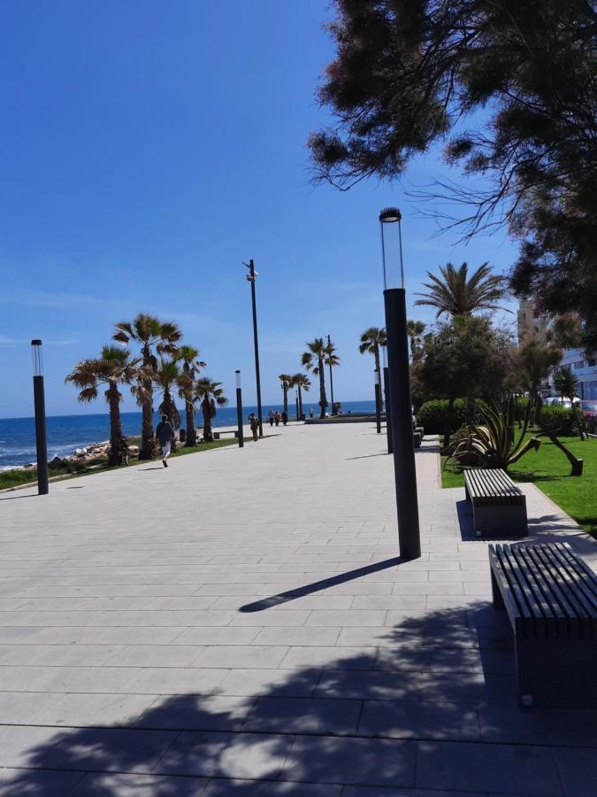 Moderno Apartamento Familiar Junto Al Mar - Conejito Lejlighed Torrevieja Eksteriør billede